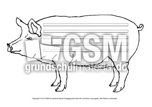 Schwein-mit-Lineatur.pdf